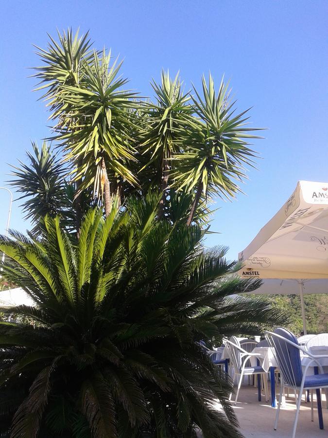 بودفا Hotel Jovana المظهر الخارجي الصورة